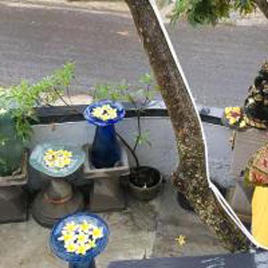 Bulan Bali Guest House Ubud Kültér fotó